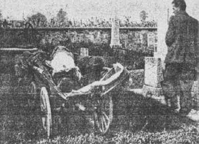 Fašistični pokol na Brdu - žrtve pokopane na pokopališču Vič